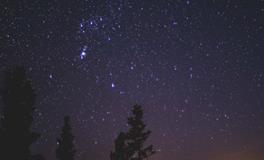 梦见被女人纠缠