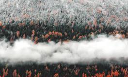 梦见死人回家什么意思