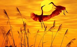 AB血型在爱情中靠谱吗？