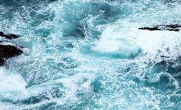 梦见很多人被杀死了