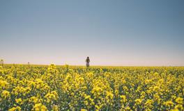 属龙和属鼠的生肖配对