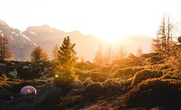 梦见撞人了是什么意思