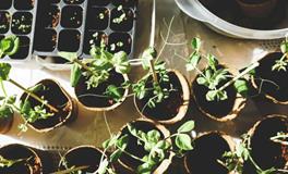 总是梦到一个陌生人