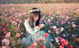 属狗和属鸡的生肖配对