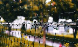 梦见家里乱七八糟