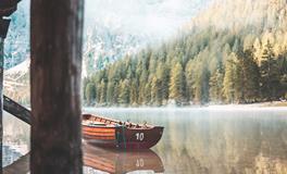 属龙人一生的运势详解