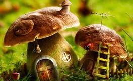 AB型血属龙的人最有前途吗？