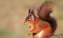 Geo老师双子座一周运势（8.5-8.11）