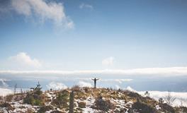 属虎人合作生财的属相