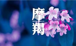 摩羯座男生婚后会发生哪些变化