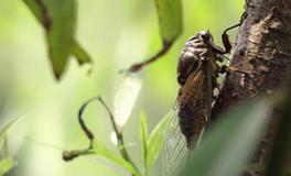 强势的B血型人有哪些特征