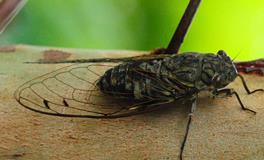 强势的O型人有哪些特征