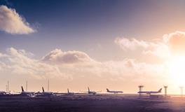 属虎如何旺事业运