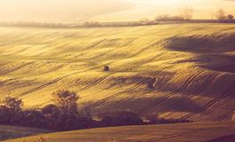 四季出生属鼠人的性格