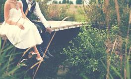 属龙和属牛的八字合吗