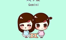 双子座的专属包包