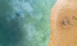 生肖牛2018年事业运势