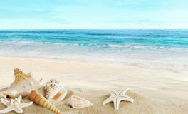 李云天一周生肖狗运势（8.13-8.19）