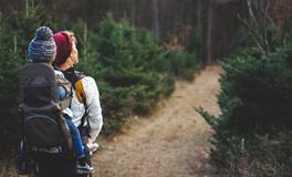 怀孕的人梦到别人怀孕