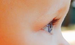 怀孕的人梦到马