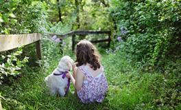 怀孕早期梦到死人了