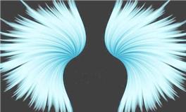 金牛座代表的翅膀