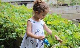 做梦梦到别人怀孕生孩子