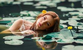 生肖鸡财运最好的几个月