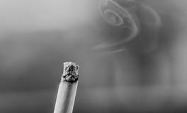 梦见死人活了预示着什么