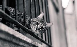 梦见地上躺着很多死人