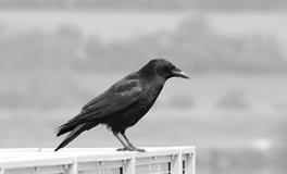 做梦梦见和别的男人在一起