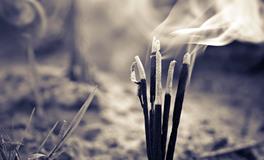 梦见两个死人是什么意思