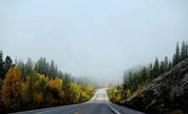 梦见好几个人死了