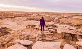 生肖鸡出生时间看命运