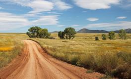 孕妇梦到好多死尸