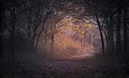 做梦梦见去世的亲人什么意思