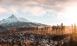 属龙人如何养生