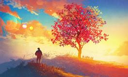 1968年属猴的是什么命