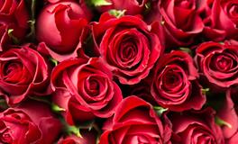 梦见别人身上有血预示着什么