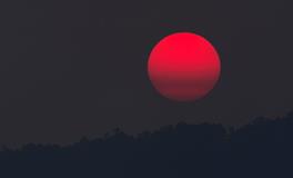 梦到头被别人砸出血