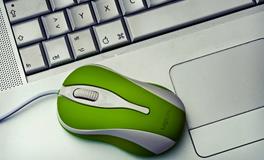 女人梦见老鼠在地上跑