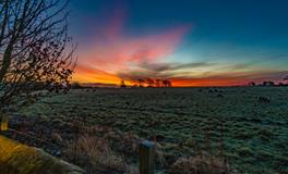 做梦梦见老鼠爬到身上