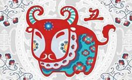 属牛白羊座的B型血性格特征