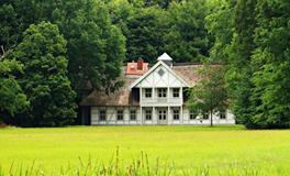 梦到老鼠爬到被子上