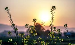 梦见棺材预示着什么