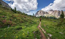 梦见家里有棺材