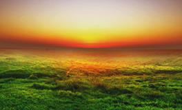 梦见自己的棺材