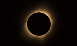 梦到站在棺材上