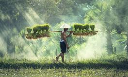 梦见有人掉水里