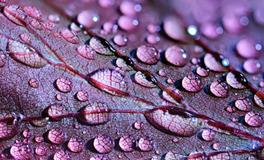 梦见家里全是水